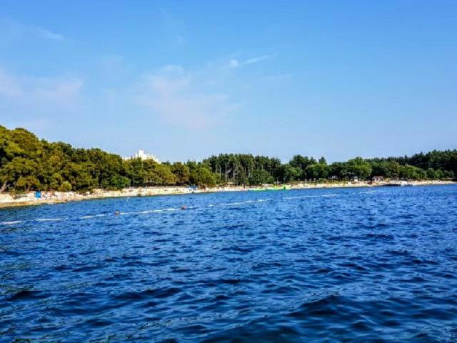 Apartman Maslina Apartment Porec Ngoại thất bức ảnh